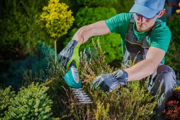 landscaping services Woodsburgh